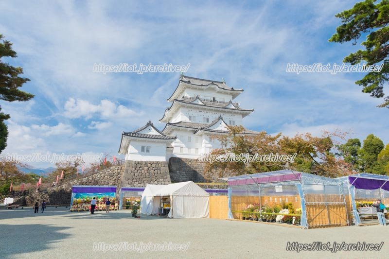 地域と共に歩む創業150年のかまぼこ店「鈴廣かまぼこ」