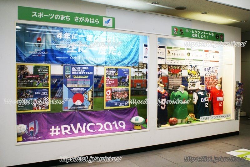 相模原市は「スポーツのまち」としてのまちづくりにも取り組んでいる