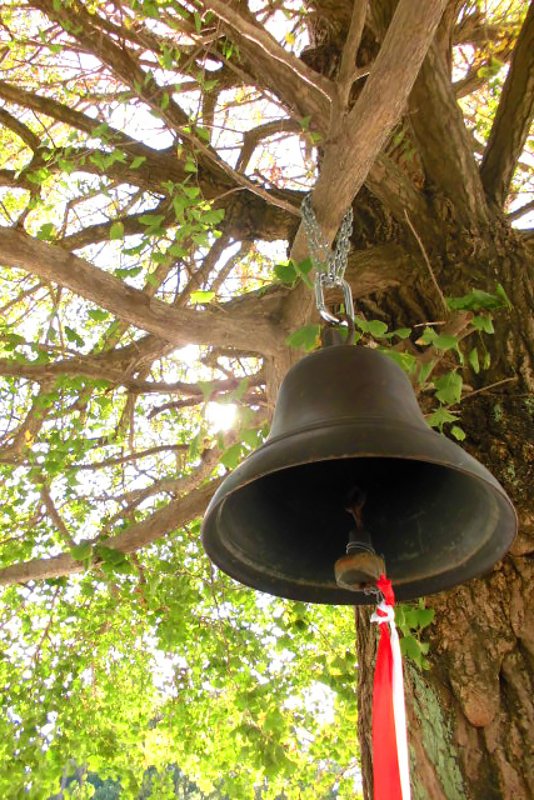 銀杏につるされた鐘