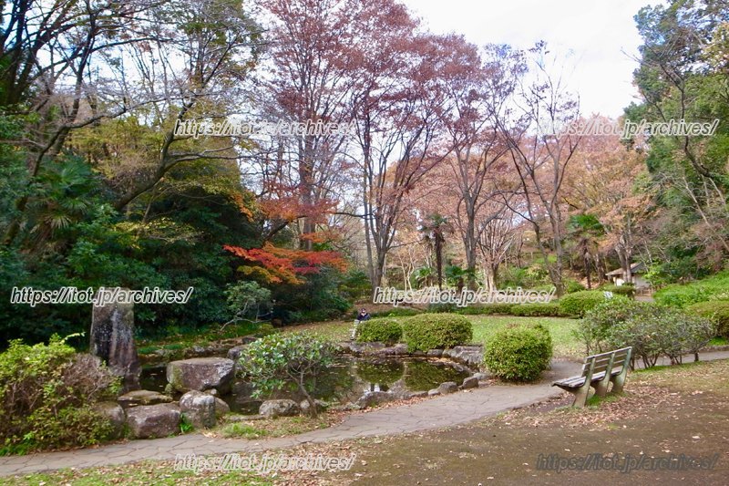 四季折々の自然に触れられる魅力的な「芹ヶ谷公園」