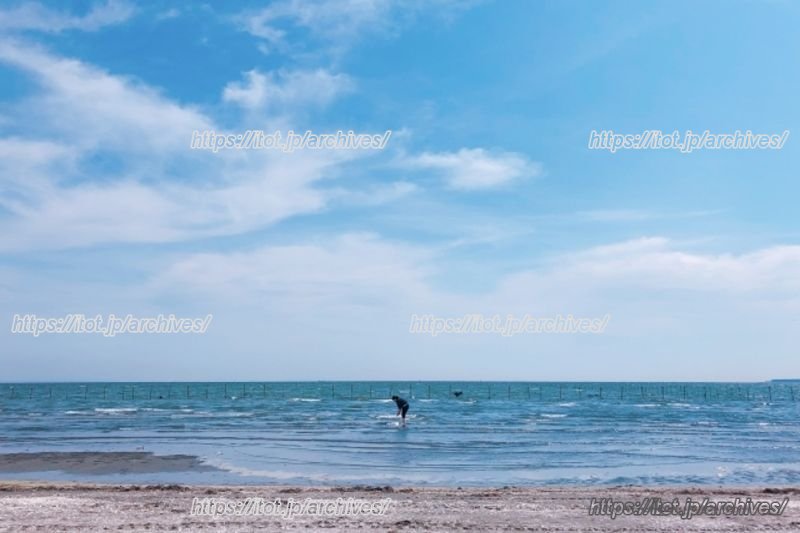 ふなばし三番瀬海浜公園