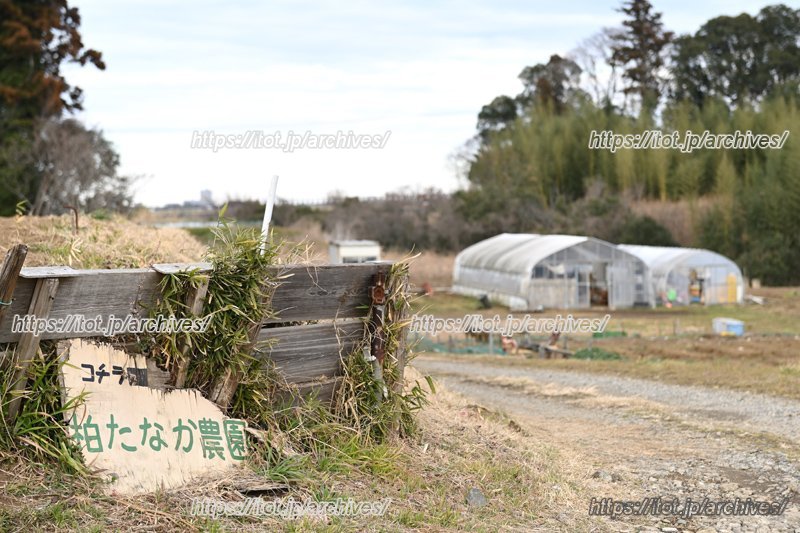 柏たなか農園