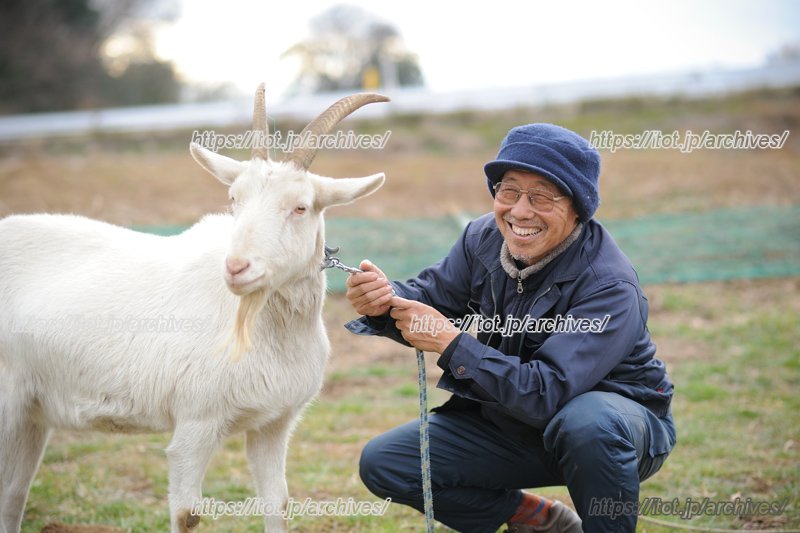 ヤギの「あおくん」も一緒に
