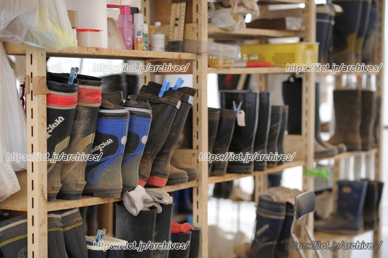 参加するときは長靴だけは要持参。ハウスに置いて帰ることもできる