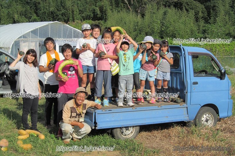 みんなでカボチャの収穫体験！