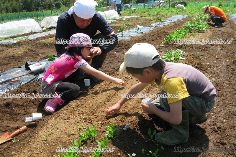 体験農業の様子