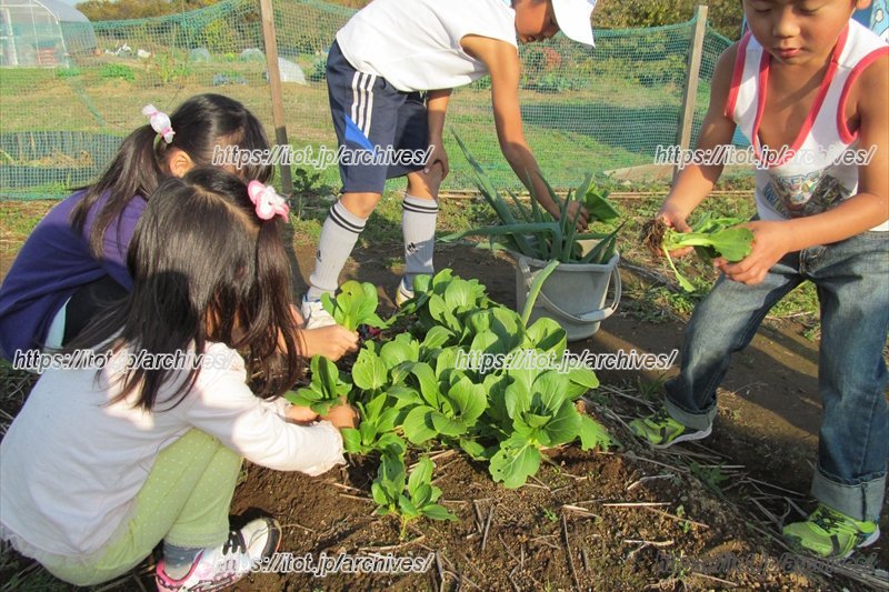 「土の学校」の様子
