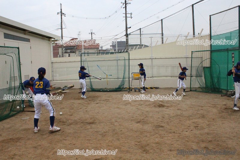 昆陽里タイガース シートノック