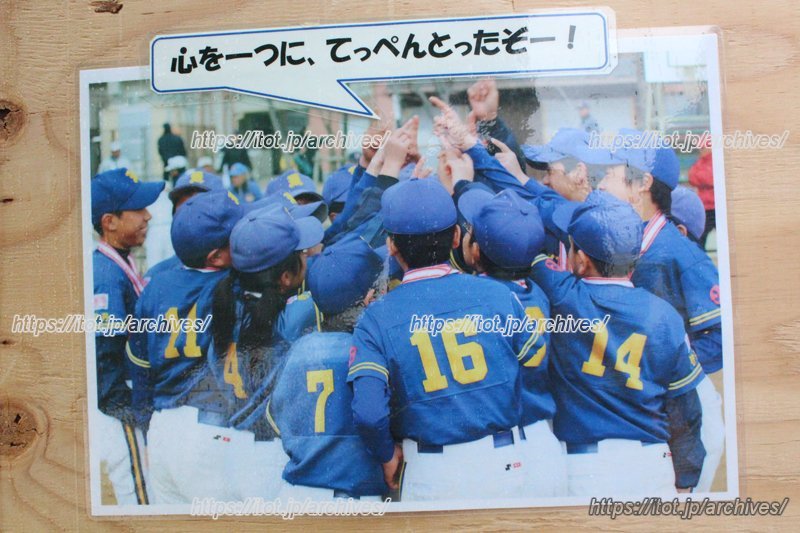 昆陽里タイガース てっぺん