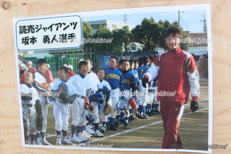 昆陽里タイガース 坂本勇人選手