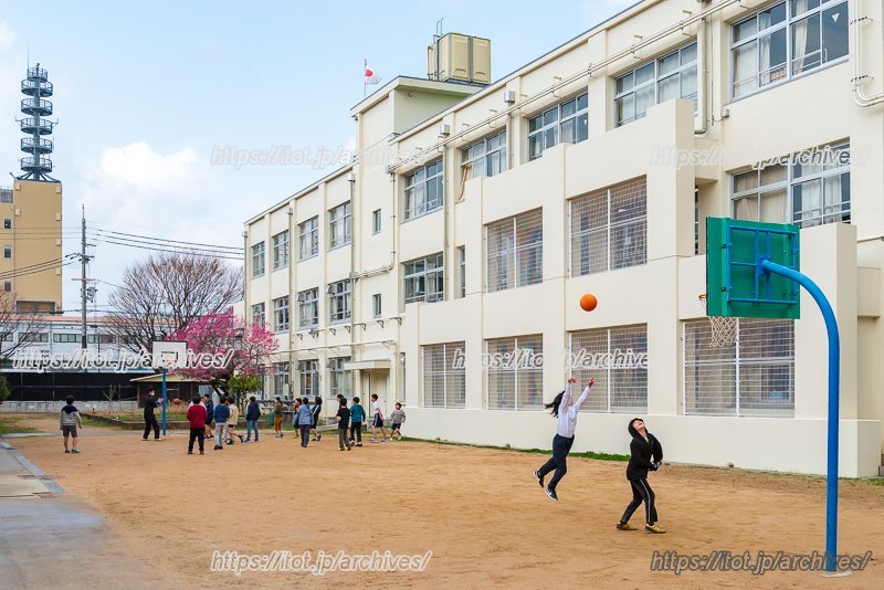 遊んでいる子どもたちの様子