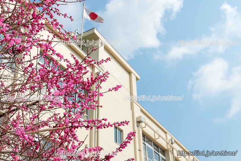 高槻市立桃園小学校