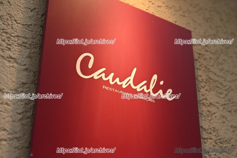 池之端の隠れ家フレンチ ／Caudalie（コーダリー） 近藤啓介さん