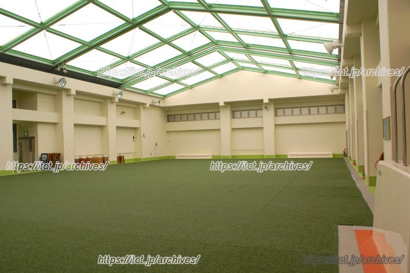 プールは夏が終われば上に人工芝を敷き、第二の体育館として使われる