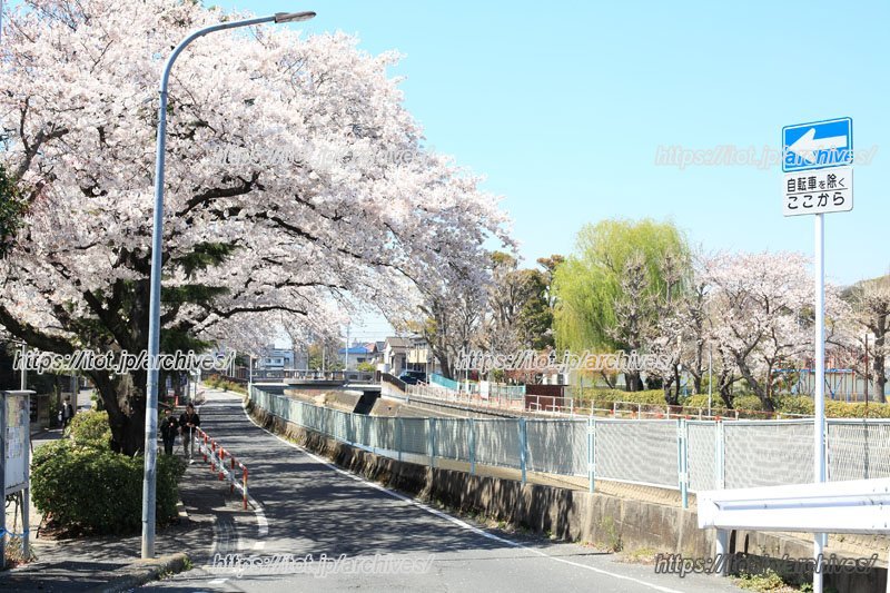 春と秋に大規模なお祭りが開催される
