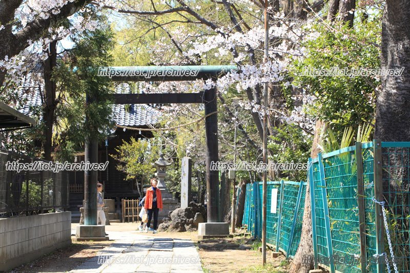 歴史・文化を身近に感じられる市川真間エリア