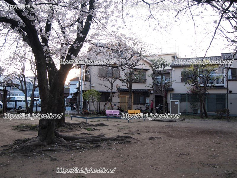 隣接するさくら公園