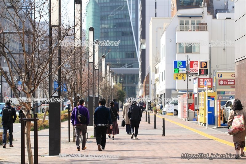 多様性と可能性によって育まれる「新虎通り」エリアの魅力を発信する「一般社団法人新虎通りエリアマネジメント」