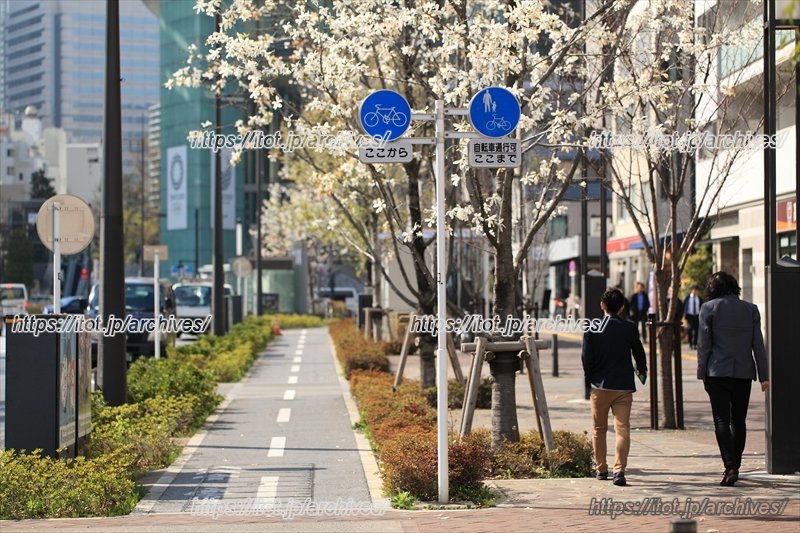 四季折々の植物も楽しめる