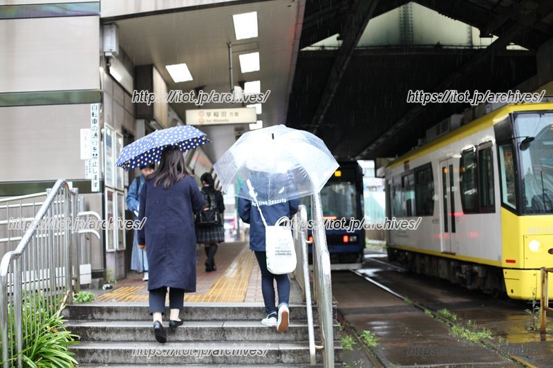 東京で都電が走る街は限られている。街歩きをしていると本数が意外に多いことや、街の風景の一つとして根付いている様子がよくわかる