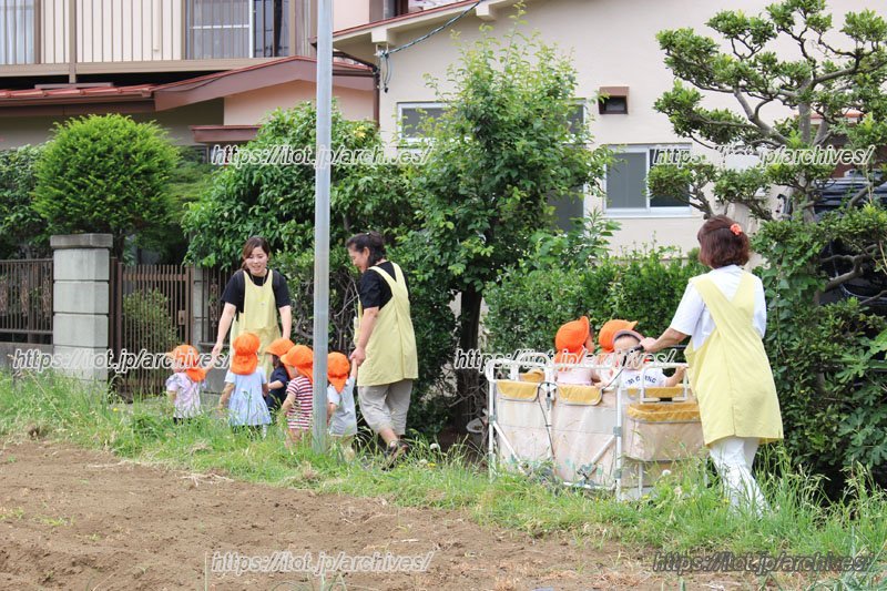 お散歩を楽しむ園児たち