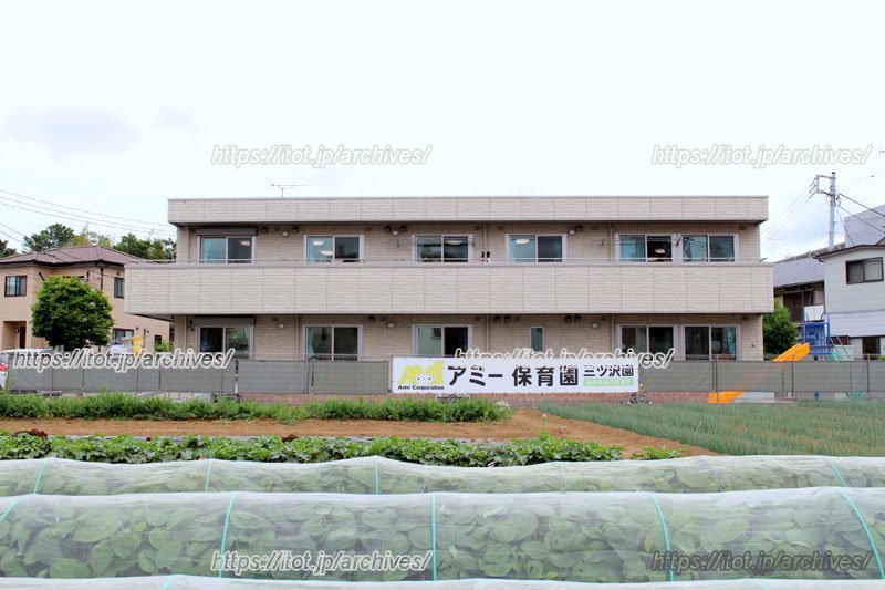 目の前に広がる畑