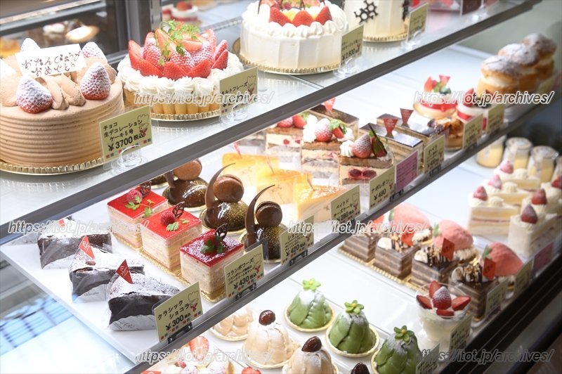 「いづみの森」