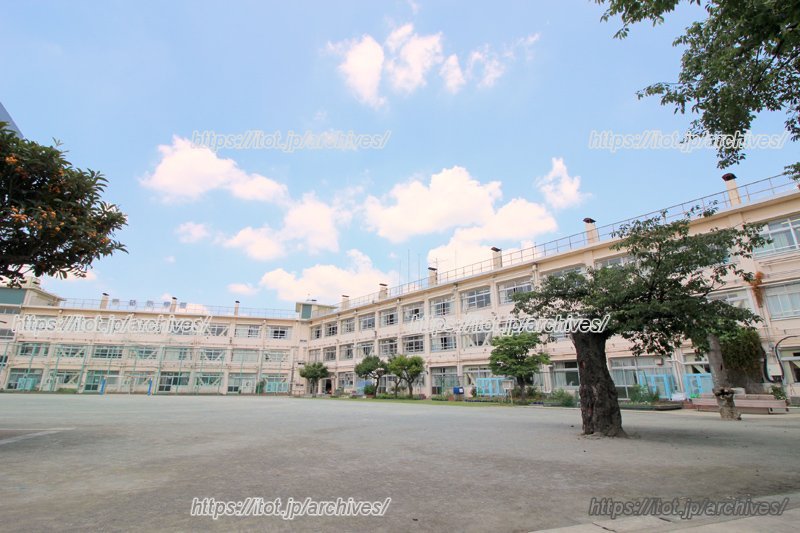 広々とした校庭