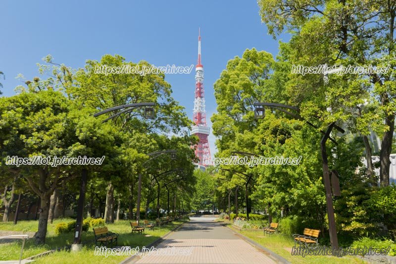 都心にいながら緑に癒される「芝公園」