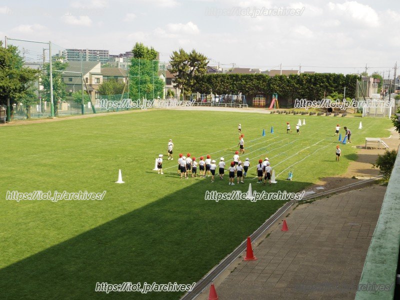 2013（平成25）年度に芝生化が完了した校庭