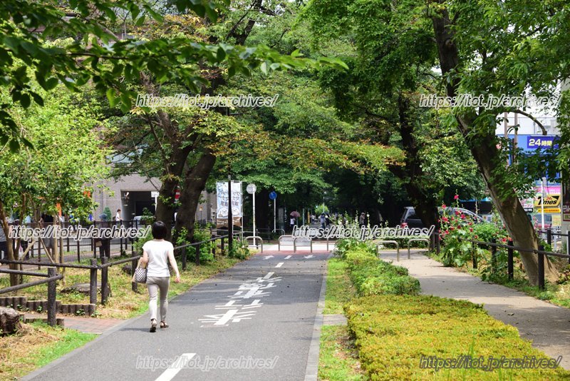 穏やかな環境が魅力の街（花小金井駅付近の狭山・境緑道）