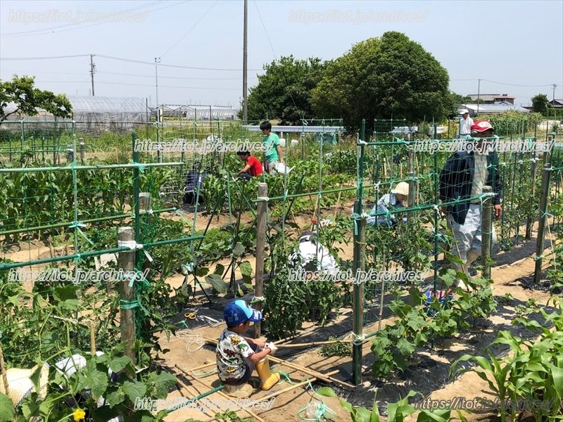 「ファミリー農園」の様子