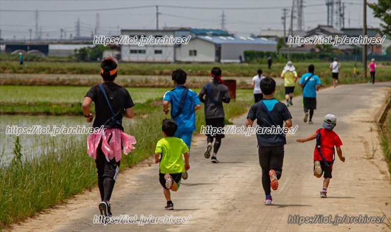 5月に本證寺周辺で開催された「安城市わくわくリレーフェスティバル～おてらん～」