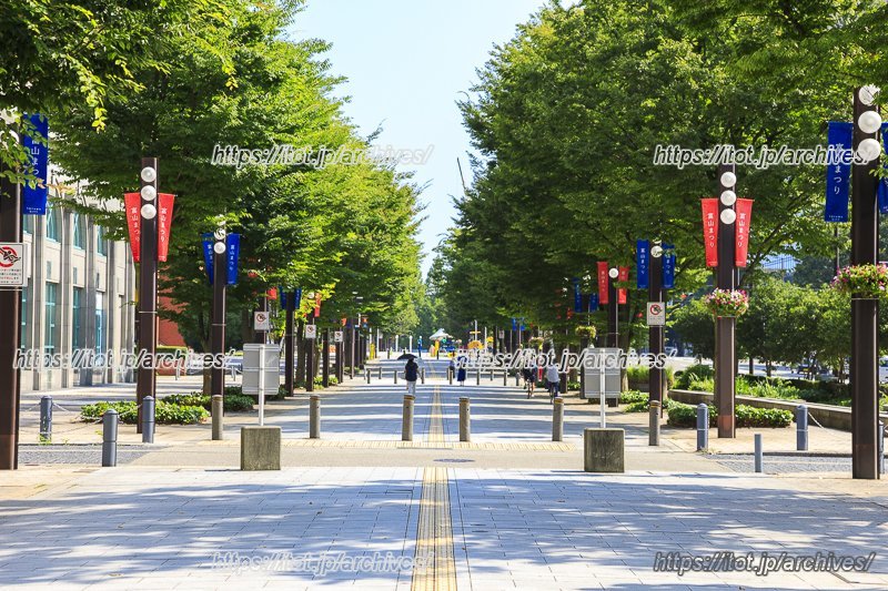「富山」駅北口の通り