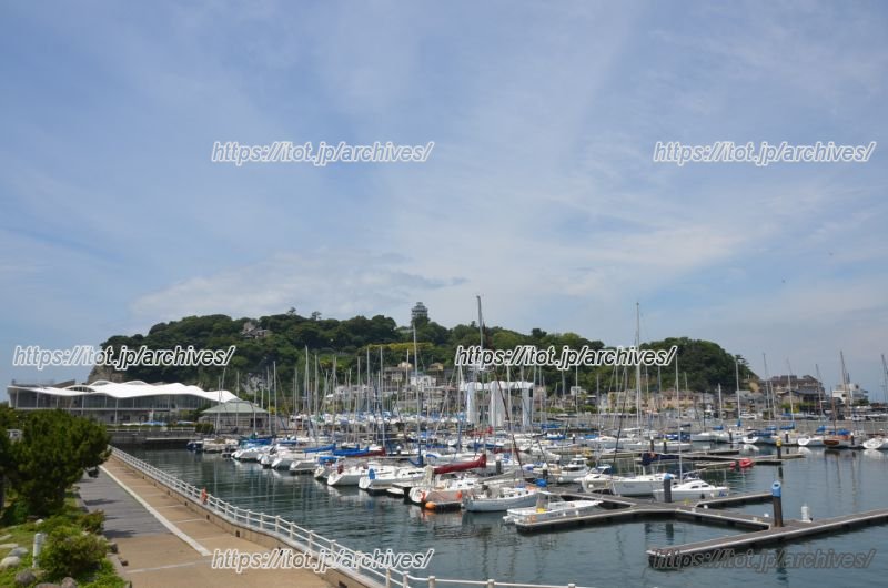 「東京オリンピック」セーリング競技が開催 ～藤沢エリアの魅力／藤沢市役所 東京オリンピック・パラリンピック開催準備室