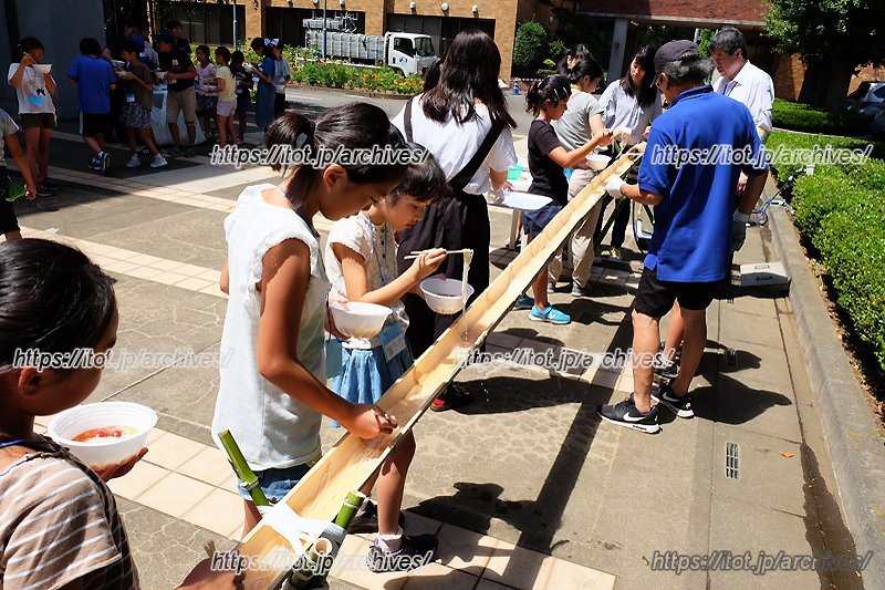 子ども大学にいざ　流しそうめん