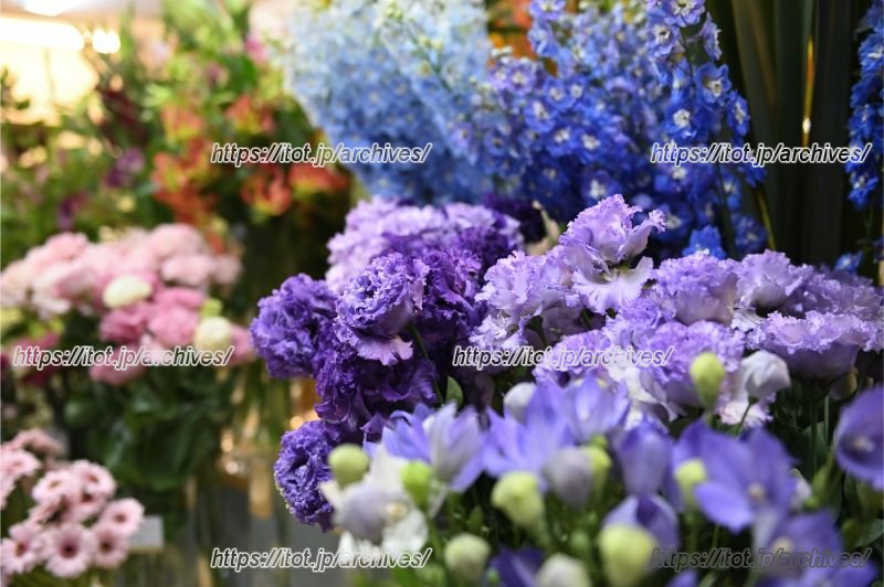 最高ランクの花々を取り扱っている