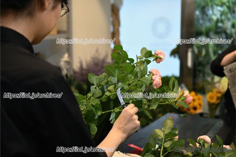 クオリティを保つために鮮度管理のレベルも高い