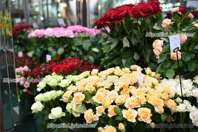 こだわりのバラ