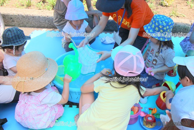 2・3歳児が水遊びを楽しむ様子