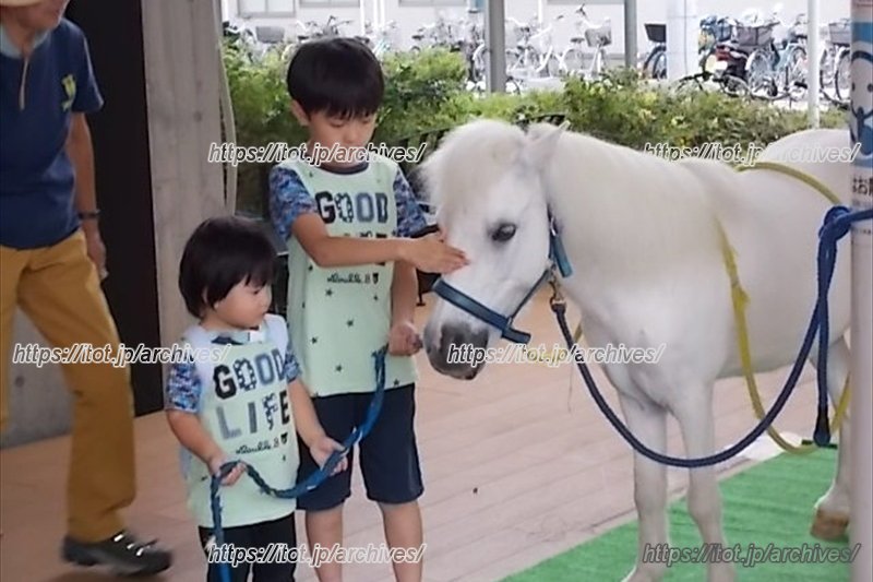 「ホースセラピー」のようす（提供写真）