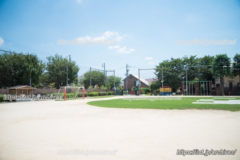 広々とした校庭。芝生の緑も気持ちいい