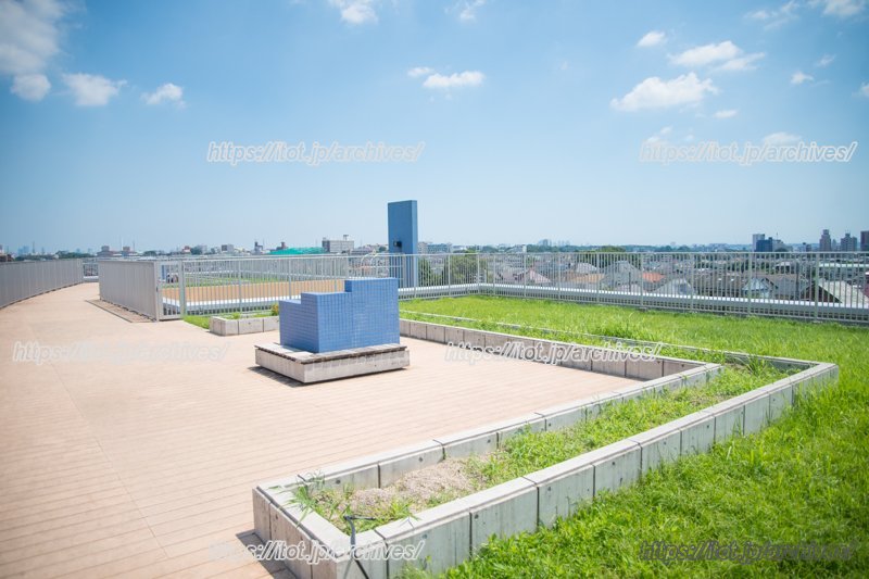 屋上には緑が豊富