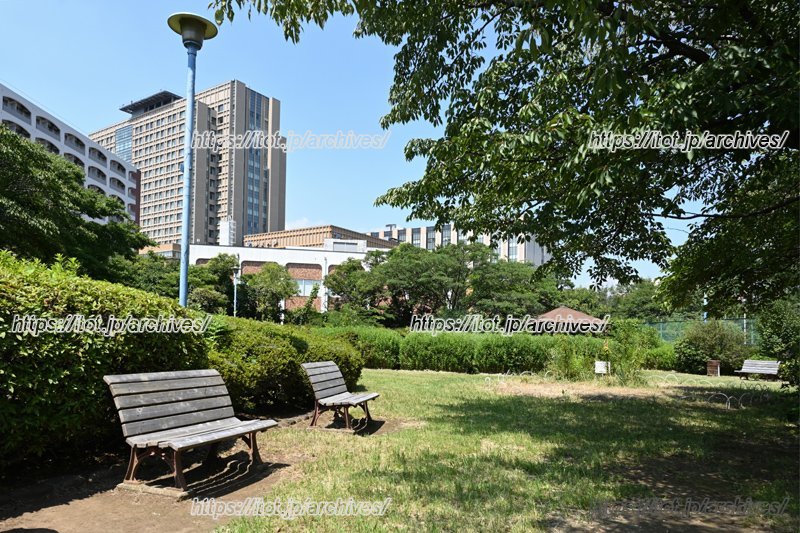 バランスの良い環境が魅力（写真：加賀二丁目公園）