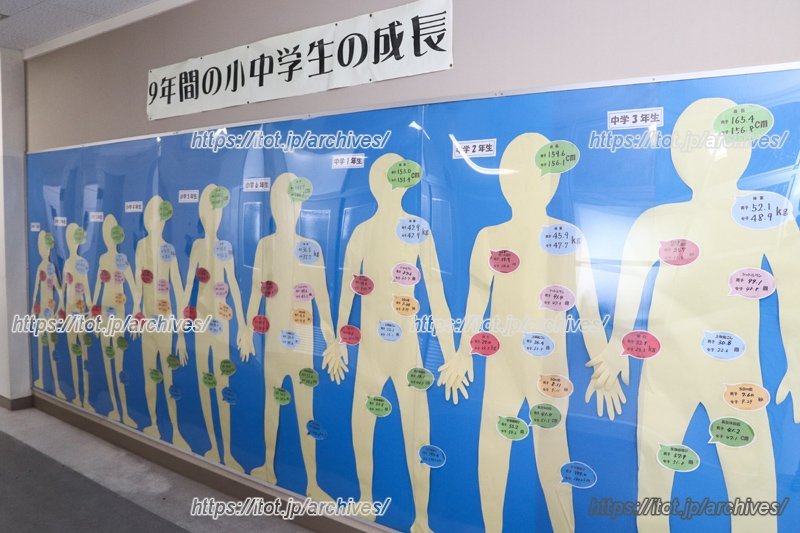 小中学生9年間の成長を描いた展示物