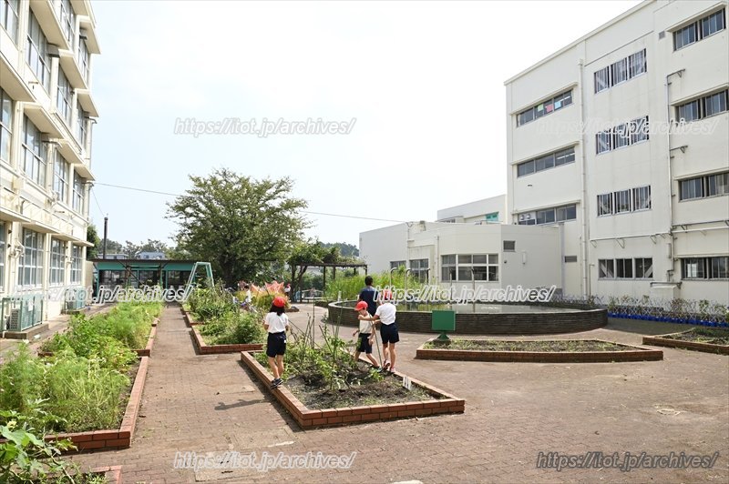 校舎に囲まれた中庭