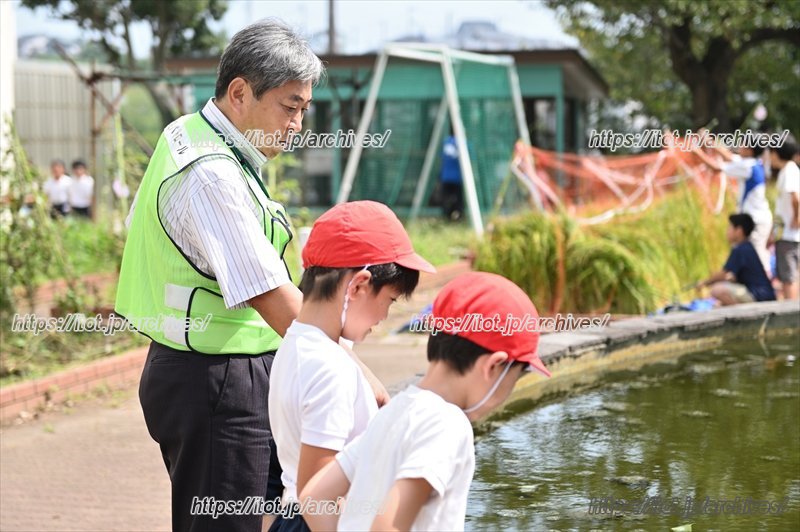先生と児童の距離も近い