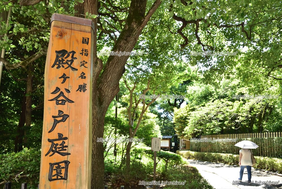 緑豊かな名勝「殿ヶ谷戸庭園」
