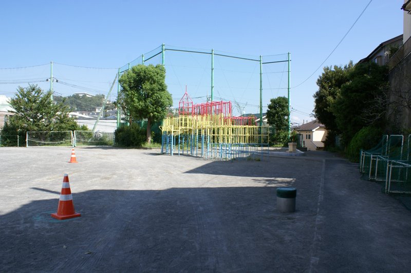 大きなジャングルジムがある