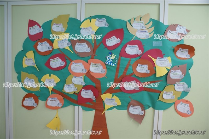 先生たちのおすすめの本を紹介